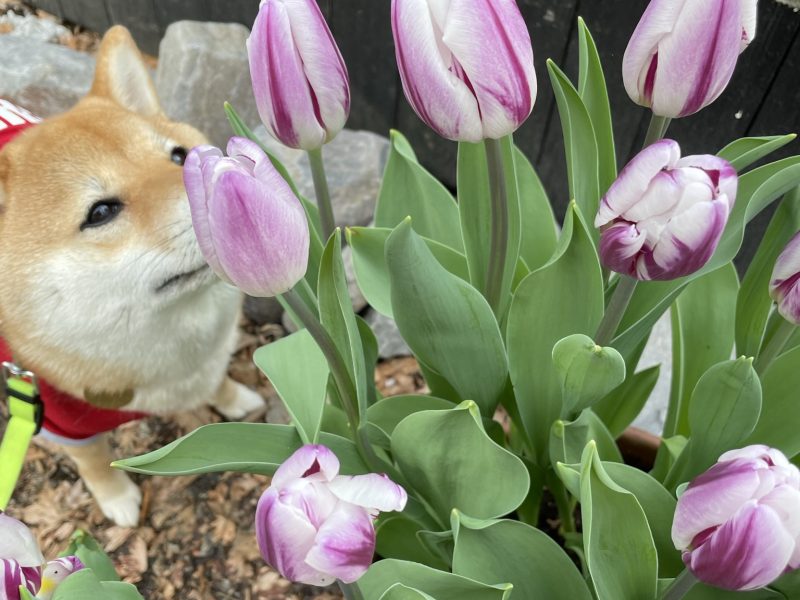 2025年の繁忙期設定